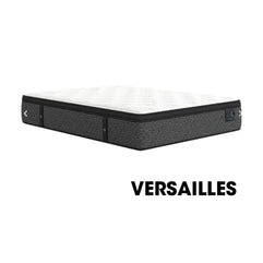 VERSAILLES - PLATINUM
