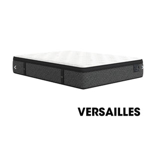 VERSAILLES - PLATINUM