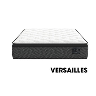 VERSAILLES - PLATINUM VERSAILLES - PLATINUM
