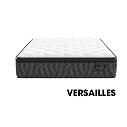 VERSAILLES - PLATINUM VERSAILLES - PLATINUM